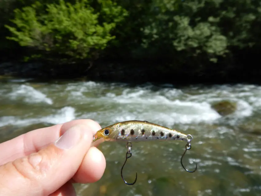 Leurre pour pêcher la truite