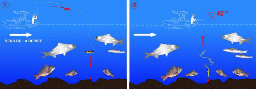 Pêche en mer au slow jigging