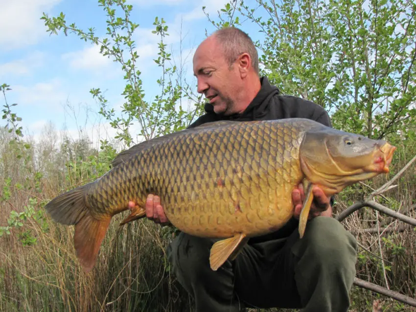 Sac de conservation pour la carpe