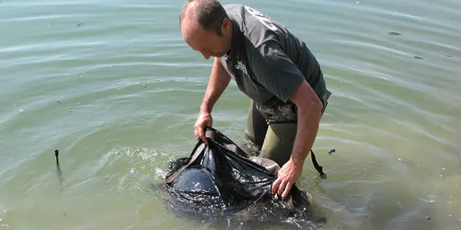 Sac de conservation pour la carpe