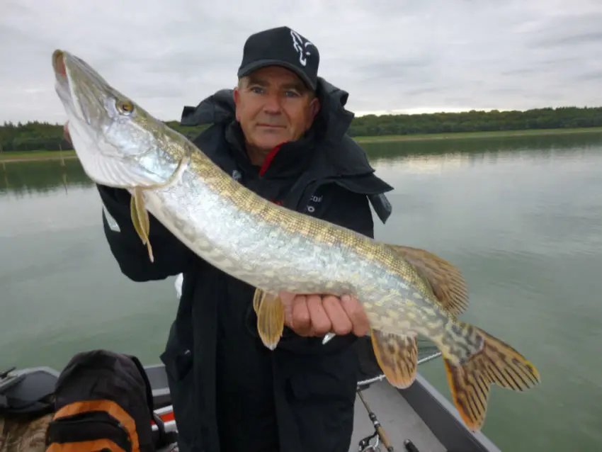 Stratégie de pêche du brochet