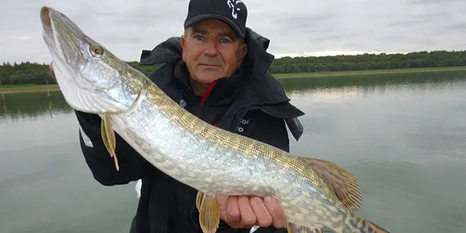 Stratégie de pêche du brochet