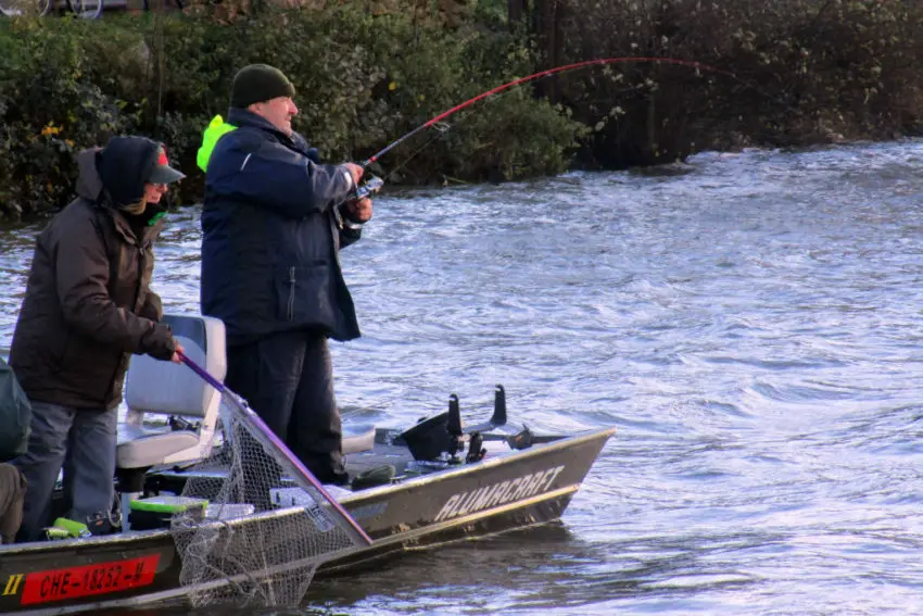 Choix de la canne à pêche carnassier