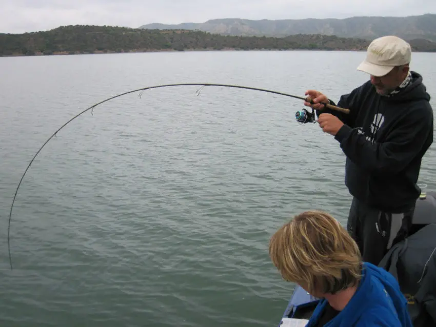 Choix de la canne à pêche carnassier