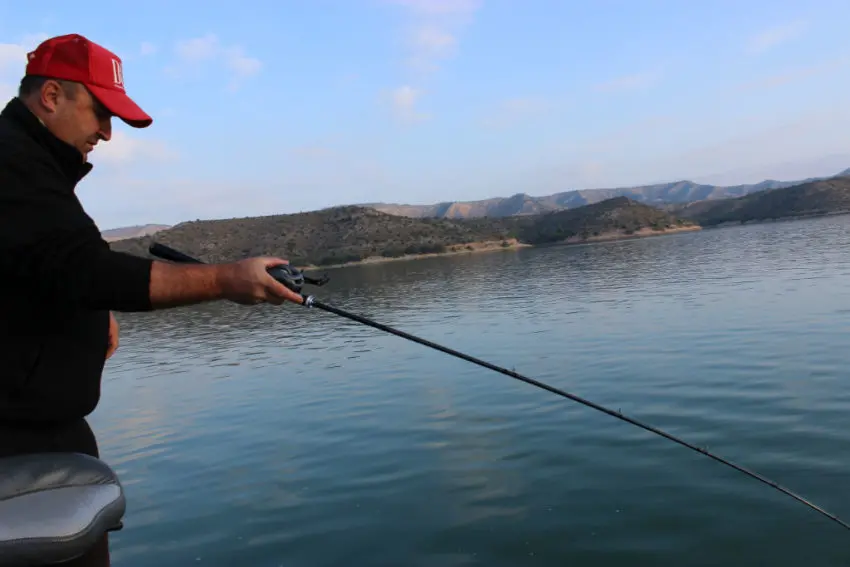 Choix de la canne à pêche carnassier