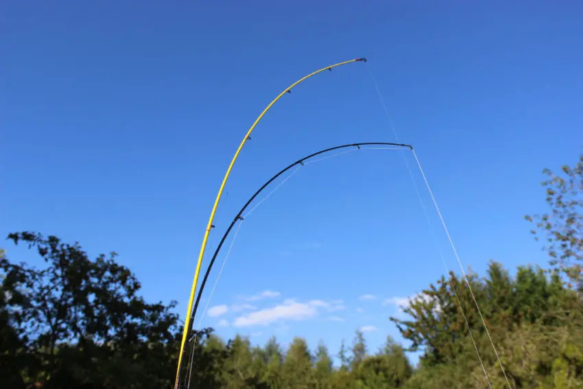 Choix de la canne à pêche carnassier