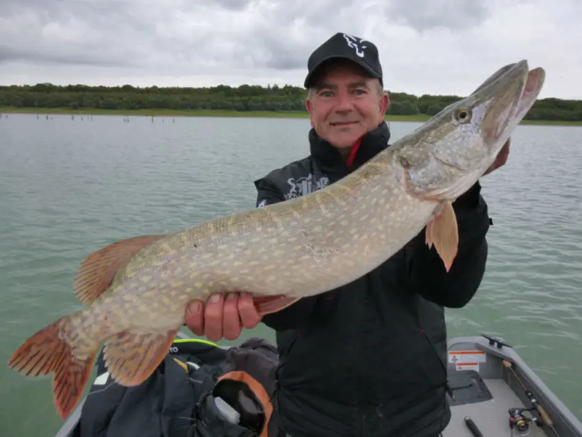 les meilleurs postes pour la pêche du brochet en automne