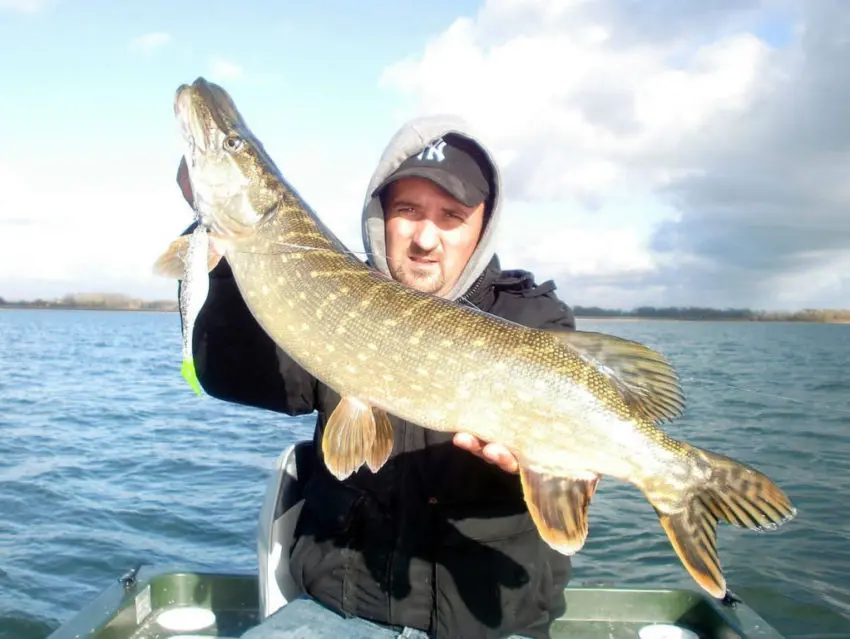 les meilleurs postes pour la pêche du brochet en automne