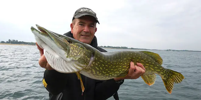 les meilleurs postes pour la pêche du brochet en automne