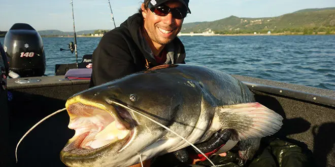 Pêche du silure au ver