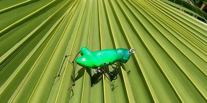 Craft d'un leurre de type sauterelle pour la pêche du chevesne en surface