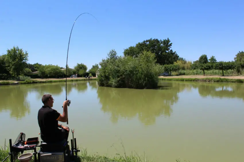 Pêche à l'hybrid method feeder