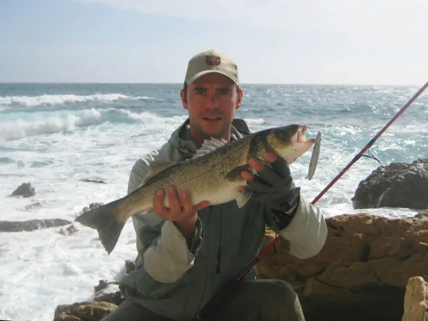 Pêche du bar au leurre en côtes rocheuses