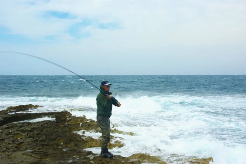 Pêche du bar au leurre en côtes rocheuses