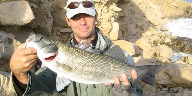 Pêche du bar au leurre en côtes rocheuses