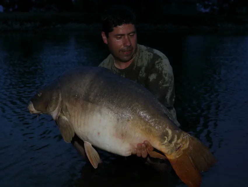 Pêche à la carpe à 2 cannes