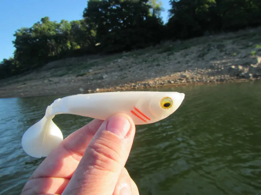 Quel leurre souple pour la pêche du carnassier ?