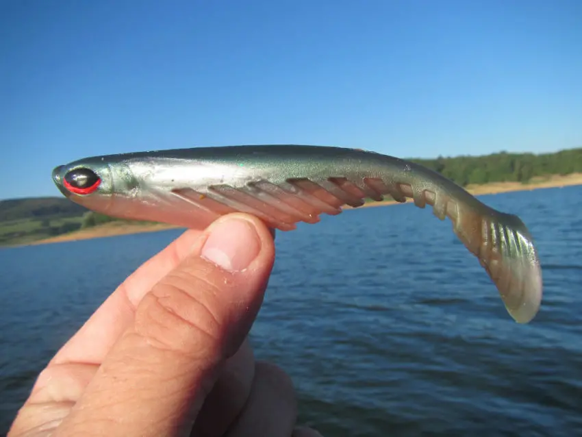 Quel leurre souple pour la pêche du carnassier ?