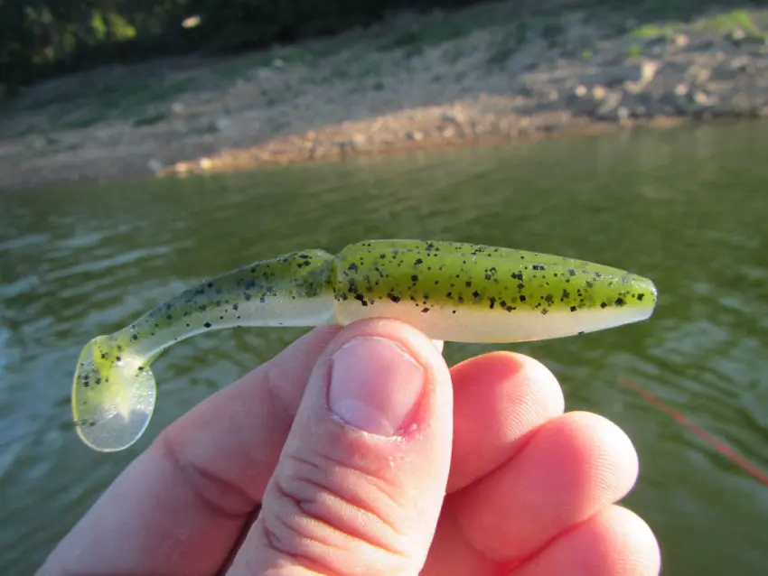 Quel leurre souple pour la pêche du carnassier ?