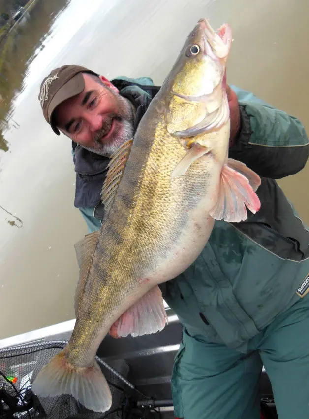 Pêche du sandre en jigging