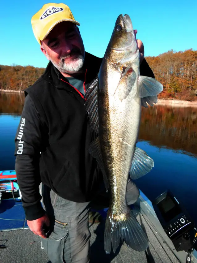 Pêche du sandre en jigging