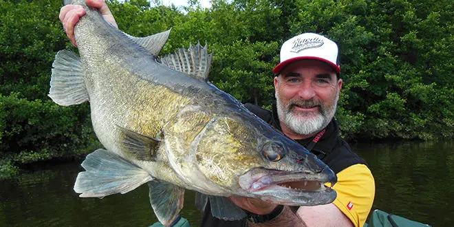 Pêche du sandre en jigging