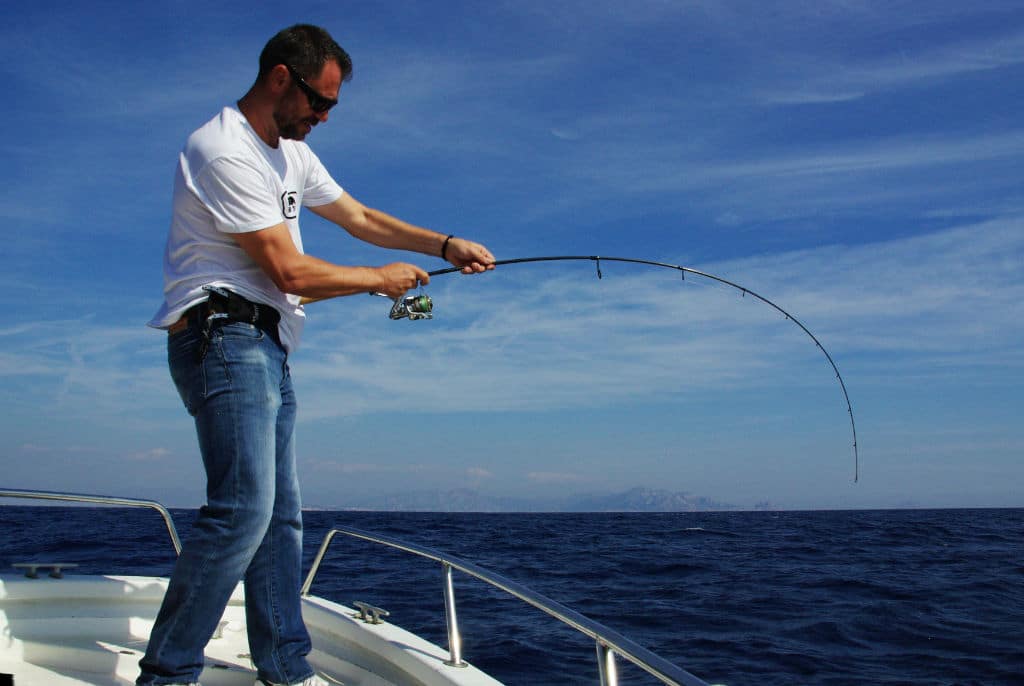 Générique Cannes pêche pour pêche mer, Moulinet et Canne pêche