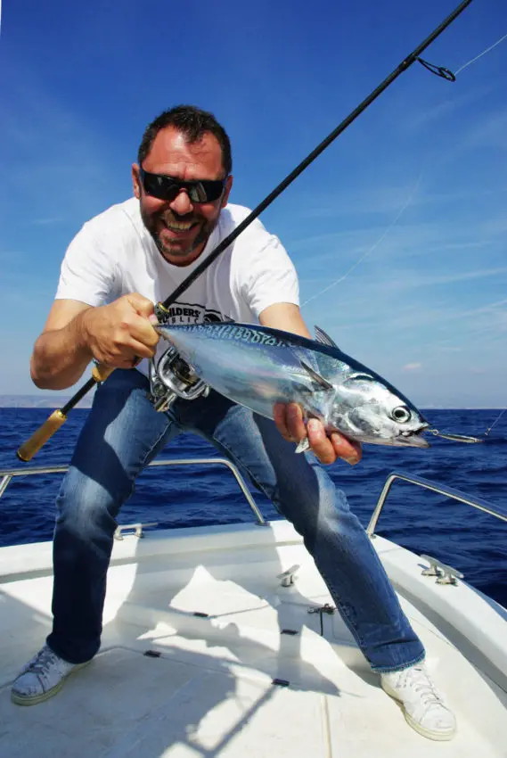 Pêche de la bonite difficile en finesse