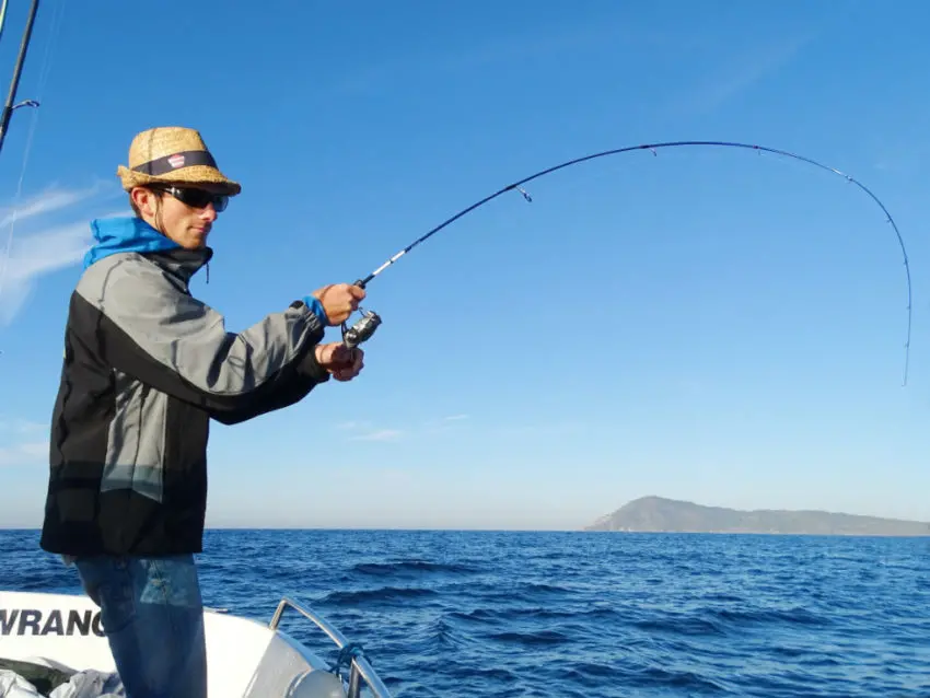 Pêche de la bonite difficile en finesse