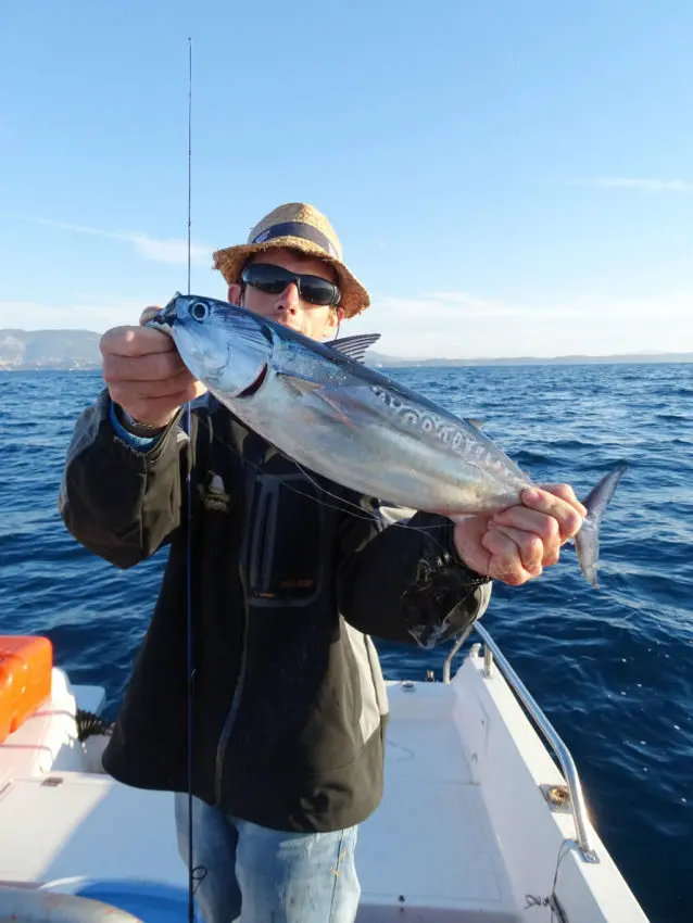 Pêche de la bonite difficile en finesse