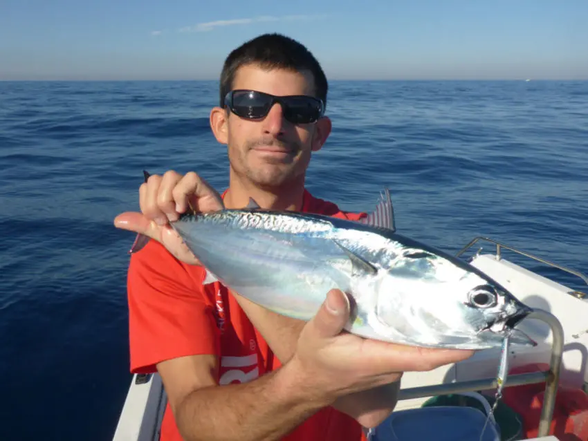 Pêche de la bonite difficile en finesse