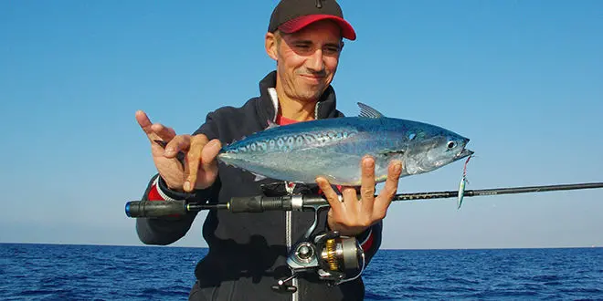 Pêche de la bonite difficile en finesse