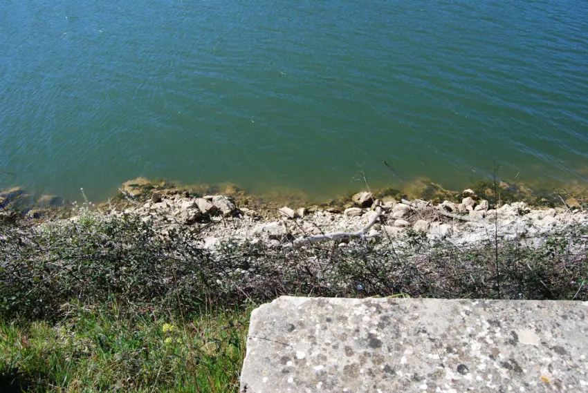 Pêche de la carpe dans les obstacles