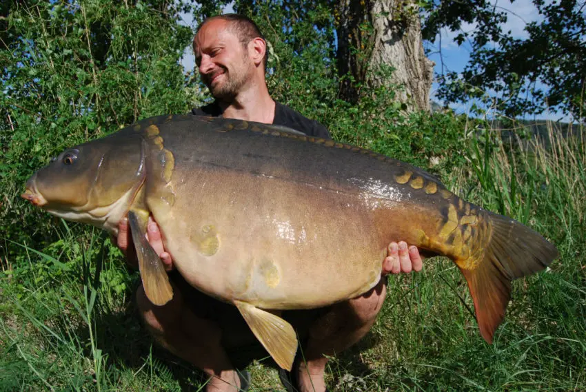 Pêche de la carpe dans les obstacles