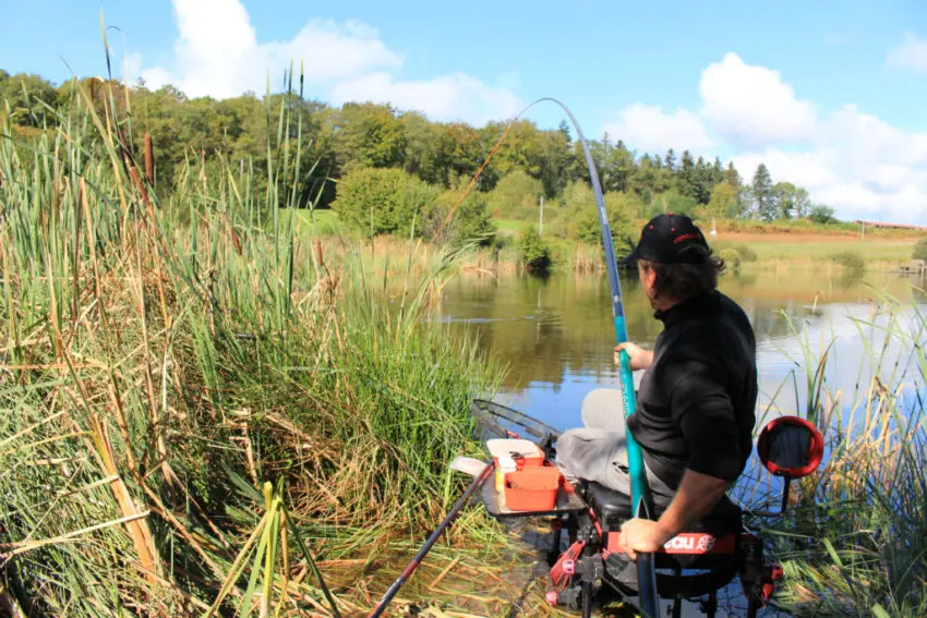 Pêche de bordure en carpodrome