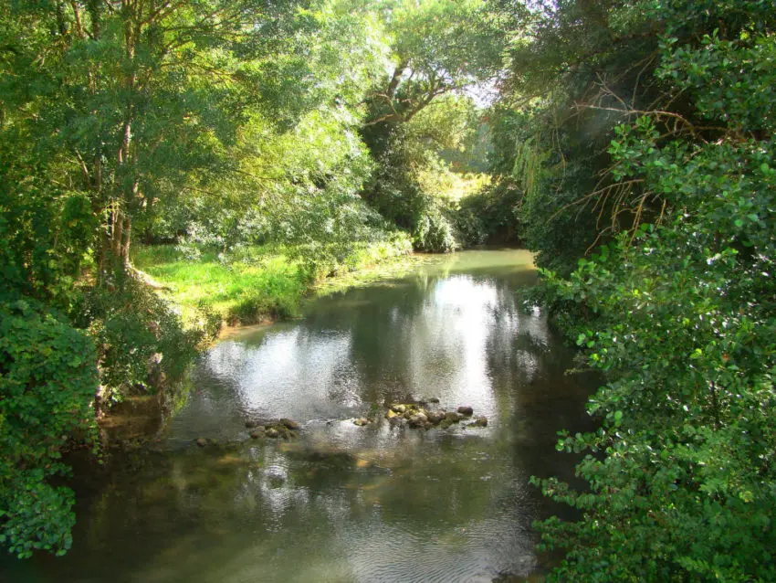 Pêche en Loir et Cher