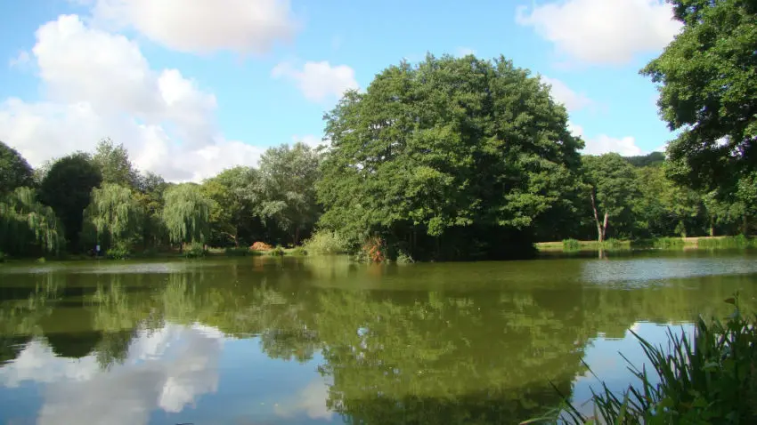 Pêche en Loir et Cher