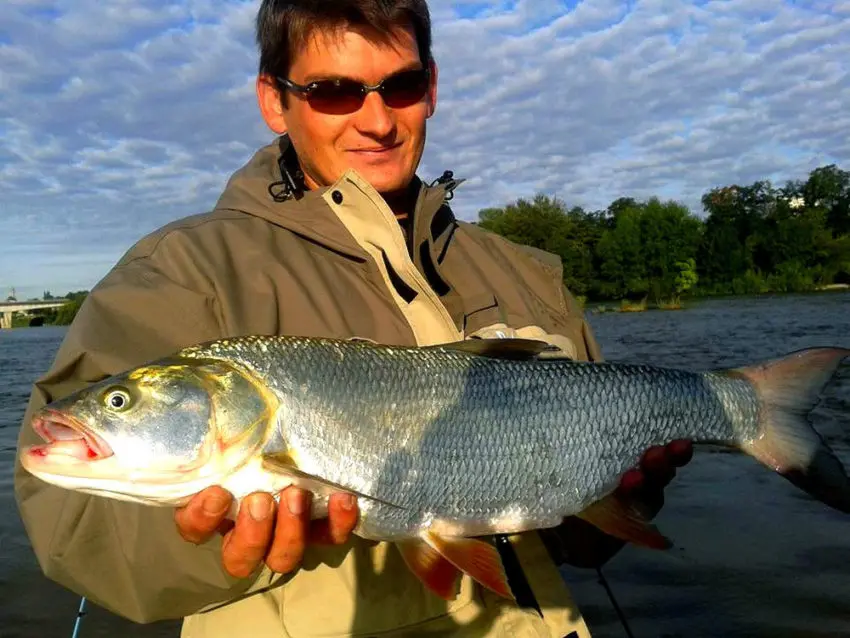 Pêche en Loir et Cher