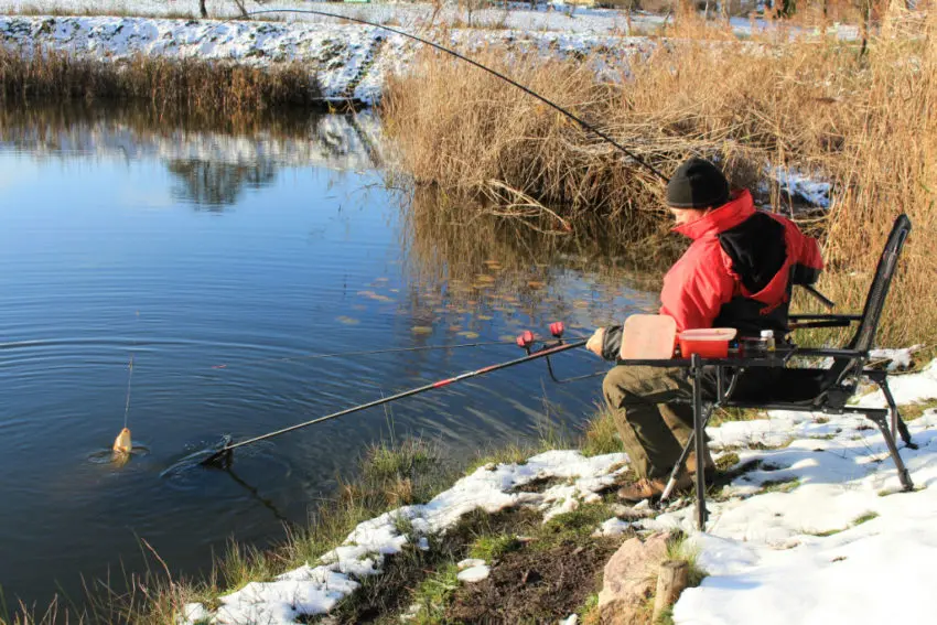 Pêche au pain en carpodrome en hiver