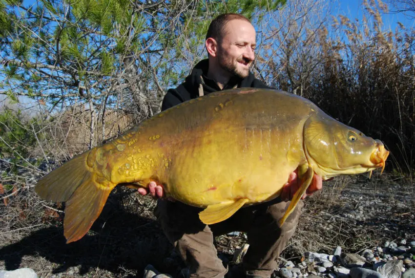 Meilleurs moments pour la pêche à la carpe