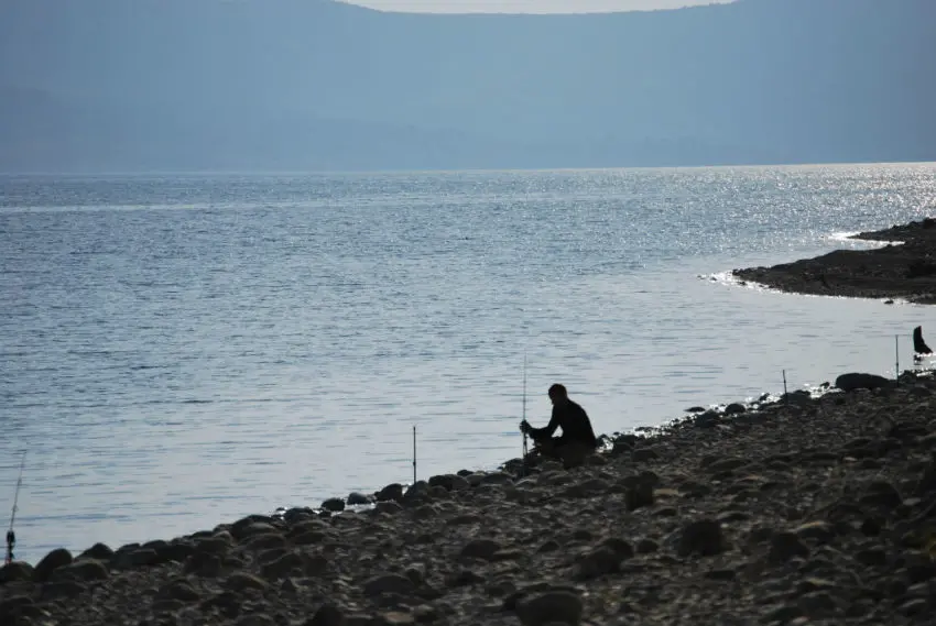 Meilleurs moments pour la pêche à la carpe