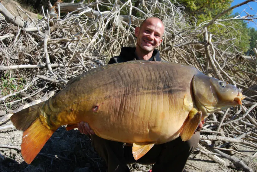 Meilleurs moments pour la pêche à la carpe