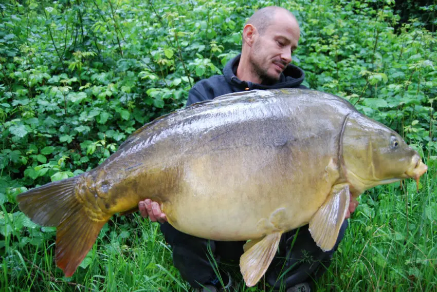 Meilleurs moments pour la pêche à la carpe