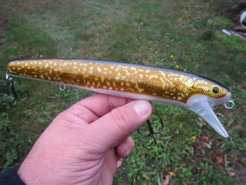 Pêche du brochet avec de gros leurres