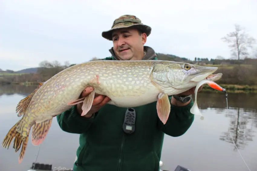 Pêche du brochet avec de gros leurres