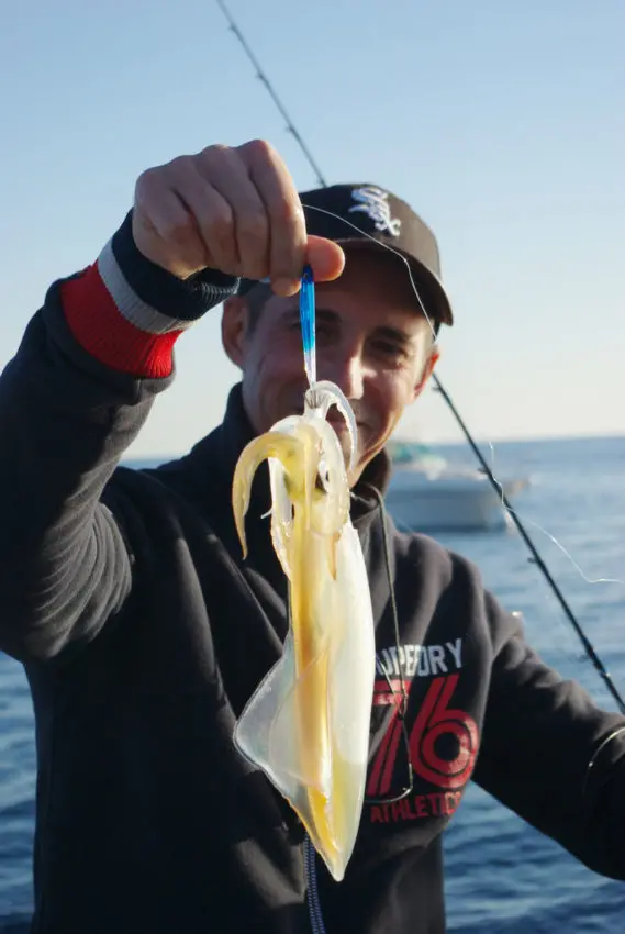 Pêche du calamar avec le montage branko