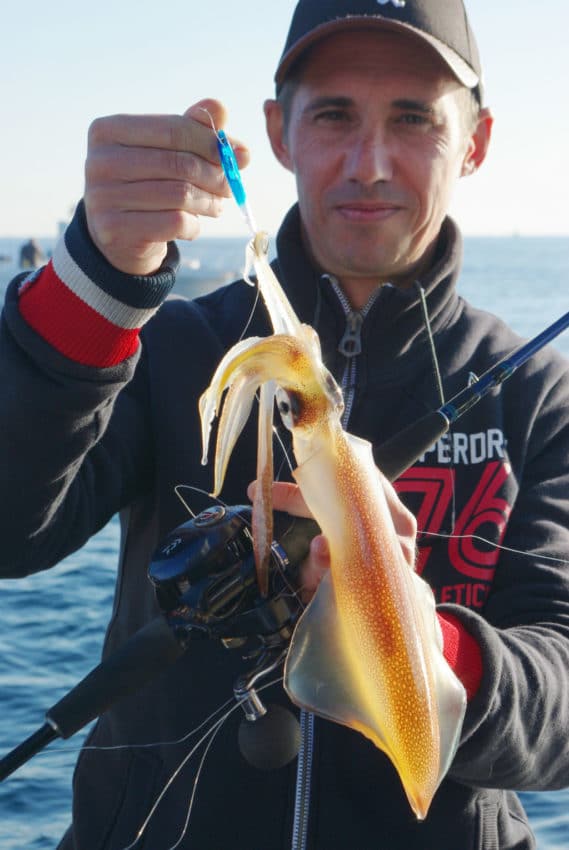 Pêche du calamar avec le montage branko