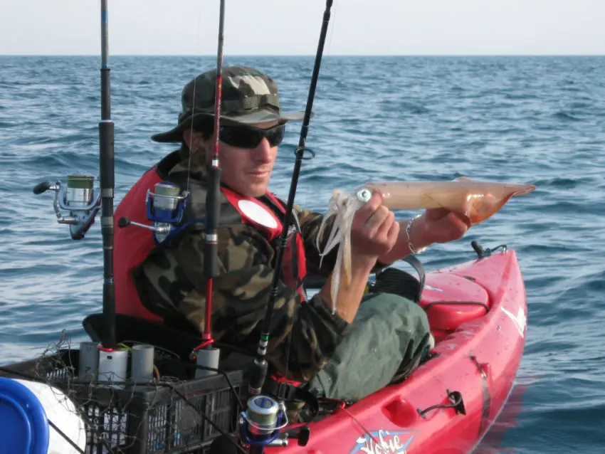 Pêche du calamar avec le montage branko