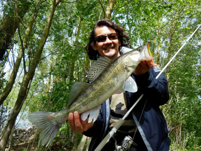 Pêche des carnassiers du bord