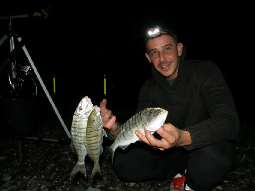 Pêche de nuit en surfcasting